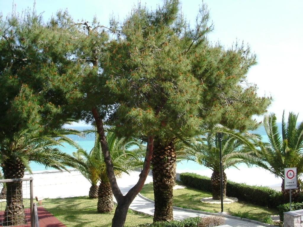 Taormina Beach House Mazzeo Quarto foto